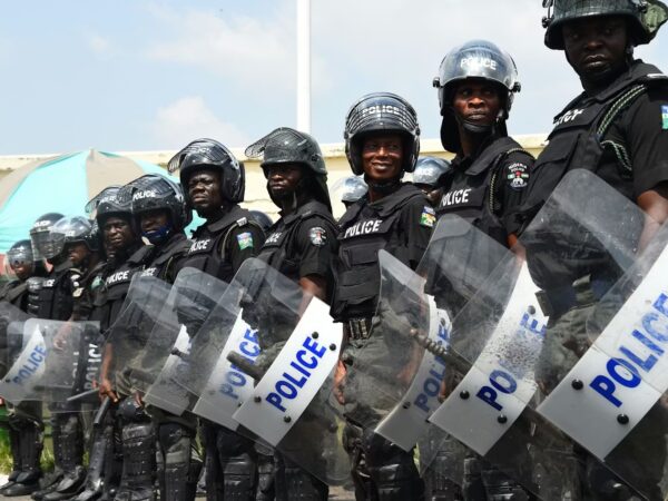State Police in Nigeria: The Amendment Is the Easy Part